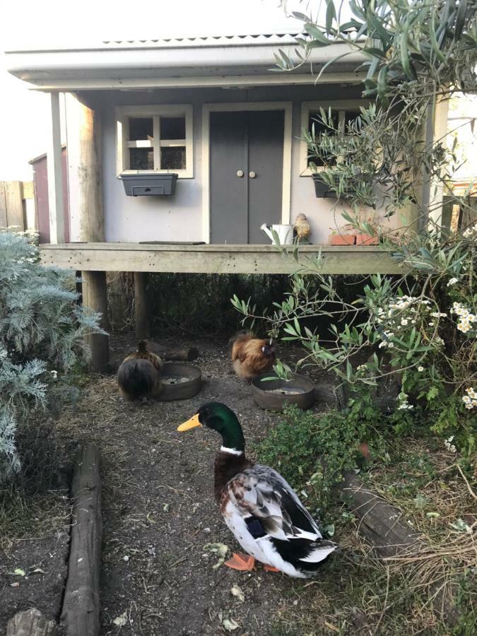 شقة Langleys Port Campbell Hobby Farm المظهر الخارجي الصورة