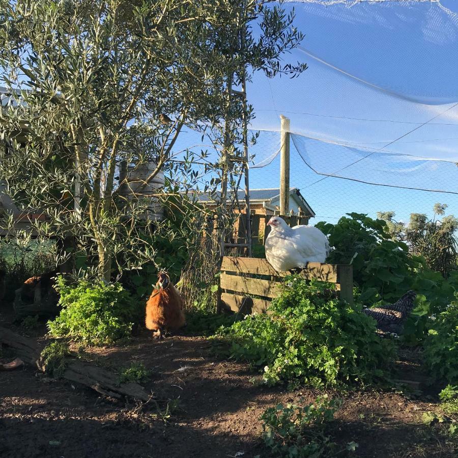 شقة Langleys Port Campbell Hobby Farm المظهر الخارجي الصورة