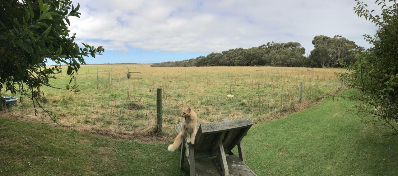 شقة Langleys Port Campbell Hobby Farm المظهر الخارجي الصورة
